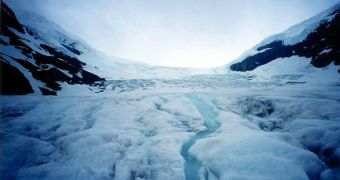 Specialists fear the Athabasca glacier will disappear within one generation