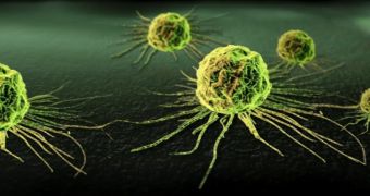 Researchers create cancer cell avatars, used them to test drugs