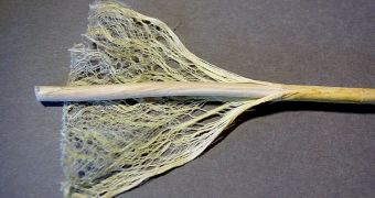 Hemp stem fibers usable in awesome batteries