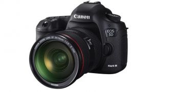 Canon EOS 5D Mark III has LCD problems
