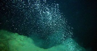Methane plume on the ocean floor