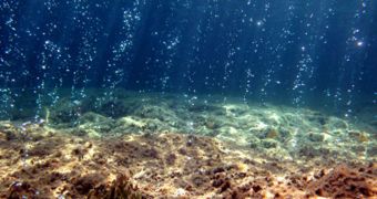 Carbon Erodes the Very Fabric of Marine Ecosystems