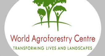 The ICRAF logo, as shown on their website