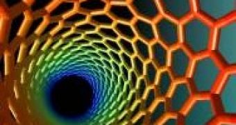 Carbon Nanotube Resonator Weighs Individual Atoms