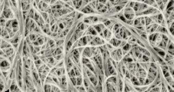 Carbon nanotubes can affect the outer lining of the lungs, the pleura