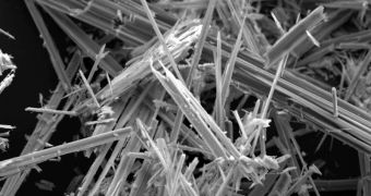Electron microscope scanning of asbestos fibers