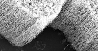 Carbon nanotubes can be used to manufacture artificial synapses for a future artificial brain