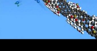 Carbon Nanotubes to Replace Platinum in Fuel Cells
