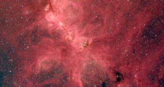 Infrared image of the Cat's Paw Nebula from the Spitzer Space Telescope (click to see full image)