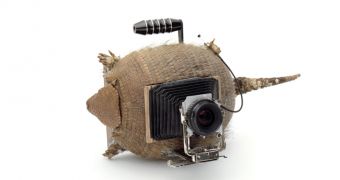 Check Out These Cameras with Cases Made from Turtles, Books and Armadillos
