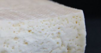 Cheese Made from Olafur Eliasson's Tears and Other Personalities' Bacteria