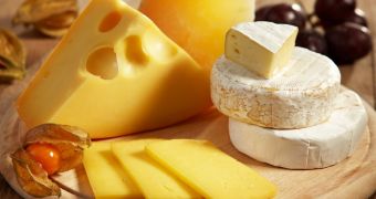 Study finds cheese can help fight tooth decay