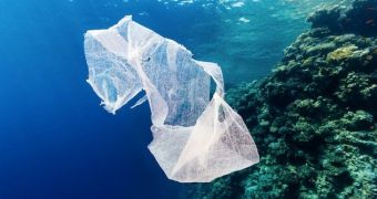 Ban on plastic shopping bags approved in Chicago