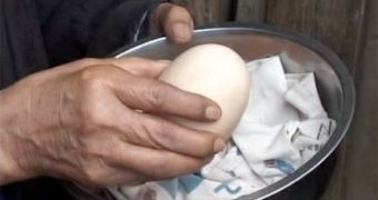 A Chinese resident's chicken lays a double egg