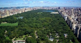 Chinese billionaire wants 1,000 poor Americans to join him for lunch in Central Park, New York, this coming June 25