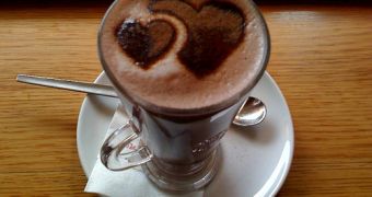 Scientists claim hot chocolate improves blood flow to the brain