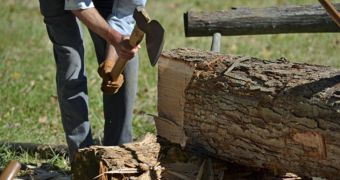 Researchers find chopping wood ups testosterone levels more than competitive sports do