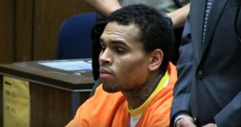 Chris Brown looked tired and depressed as he appeared before a judge in his probation violation hearing