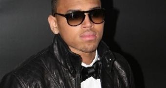 Chris Brown Releases Video Apologizing for Rihanna Beating