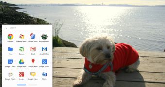 Chrome 21 for Chrome OS Adds Custom Wallpapers, Drive Integration, Offline Docs
