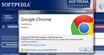 Chrome Stable 14.0.835.202 Follows Adobe Flash Player 11 Update