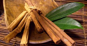 Researchers say cinnamon benefits diabetics, could also help people suffering from various heart conditions