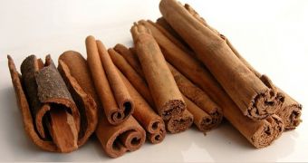 Cinnamon can be used to obtain ecological gold nanoparticles.