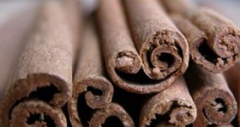 Cinnamon is Very Potent against Metabolic Disorder