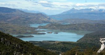 Efforts are now made to restore Patagonia's forests