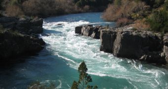 Unpolluted river in Chilean Patagonia, among many such rivers invaded by Didymo