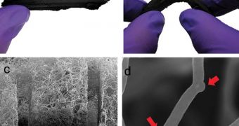 Cleaning Oil Spills with Nanotube Sponges