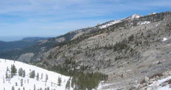 New study finds that mid-elevation forest patterns are correlated to snow depth
