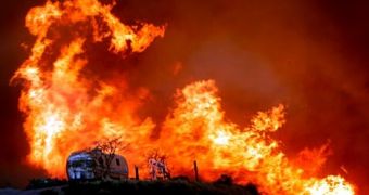 Climate change will up wildfire activity in the United States, study says