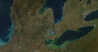 Algal blooms (brighter shades of green) in the five Great Lakes