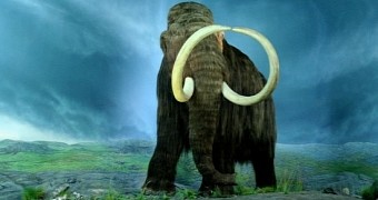 Scientists are hard at work trying to clone a woolly mammoth