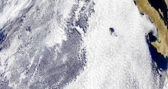Unique cloud patterns over the Pacific Ocean off the coast of California, an area of great interest in studying the role of low-level clouds in climate change