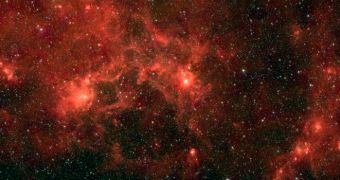 Cluster Filled with Supermassive Stars Looks Like a Dragonfish