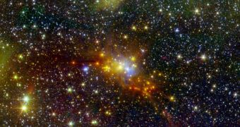 NASA reveals image of cluster of newborn stars in the Serpens constellation