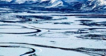 Increased levels of mercury in the Arctic region