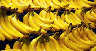 Cocaine Delivered Instead of Bananas to Danish Supermarket