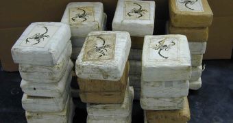 Cocaine Worth $48 (€36) Million Found on a Japanese Beach