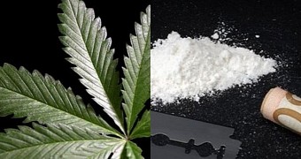 Cocaine and Marijuana Found Hidden in Vatican Librarian's Car
