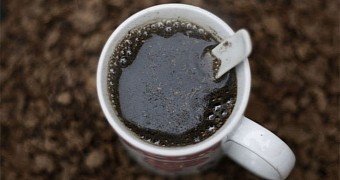Mixture of cow and goat poop said to cure cancer