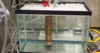 A new 'calorimeter,' shown immersed in this water bath, provides the first inexpensive means of identifying the hallmark of cold fusion reactions: the production of excess heat