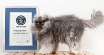 Colonel Meow is awarded a  Guinness World Record for longest hair