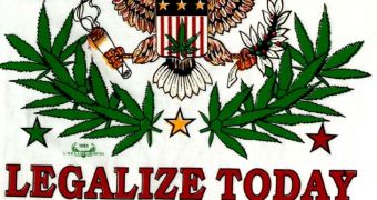 Colorado and Washington pass Amendment 64, legalize non-medical marijuana
