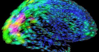 Neuroscientists at the Massachusetts Institute of Technology in Cambridge, Mass., recently developed a way to turn off abnormally active brain cells using multiple colors of light