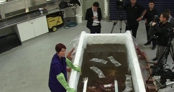 Colossal 350-Kilogram (771-Pound) Squid Defrosted and Autopsied