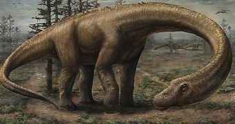 Colossal 65-ton dinosaur roamed the Earth 77 million years ago, populated forests in South America