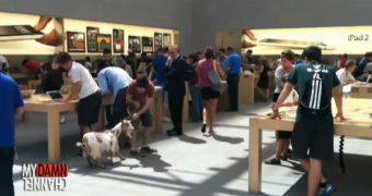 Mark brings in a pet goat at the Apple retail store
